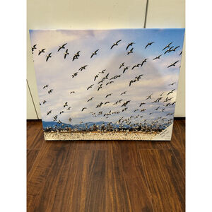 Michael S. White NW Images "Snow Drift" Photography Canvas Art Print snow